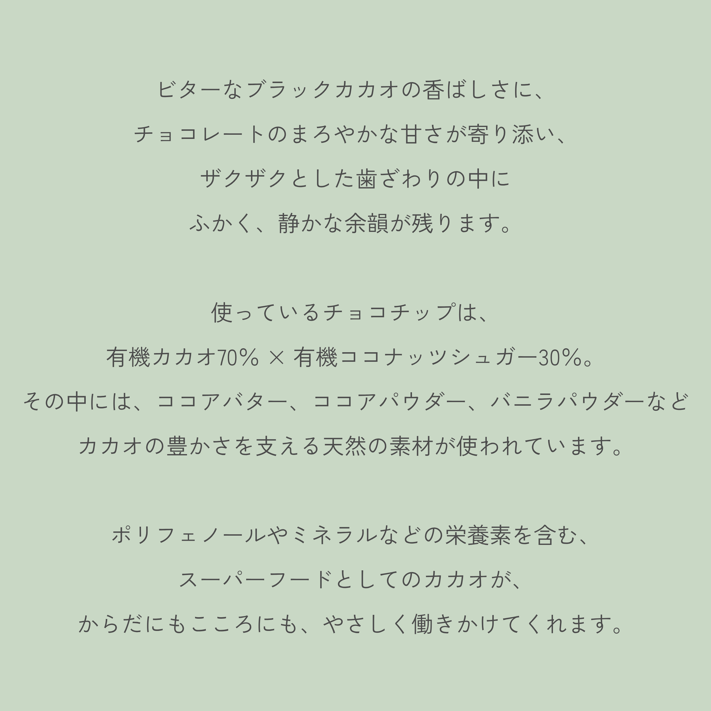 ブラックカカオ ＆チョコチップクッキー　5枚入り
