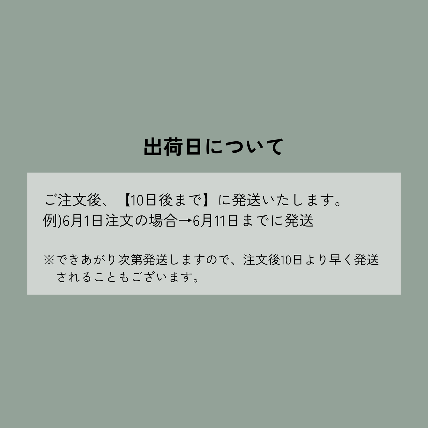 メール便配送／ブラックカカオ＆チョコチップクッキー