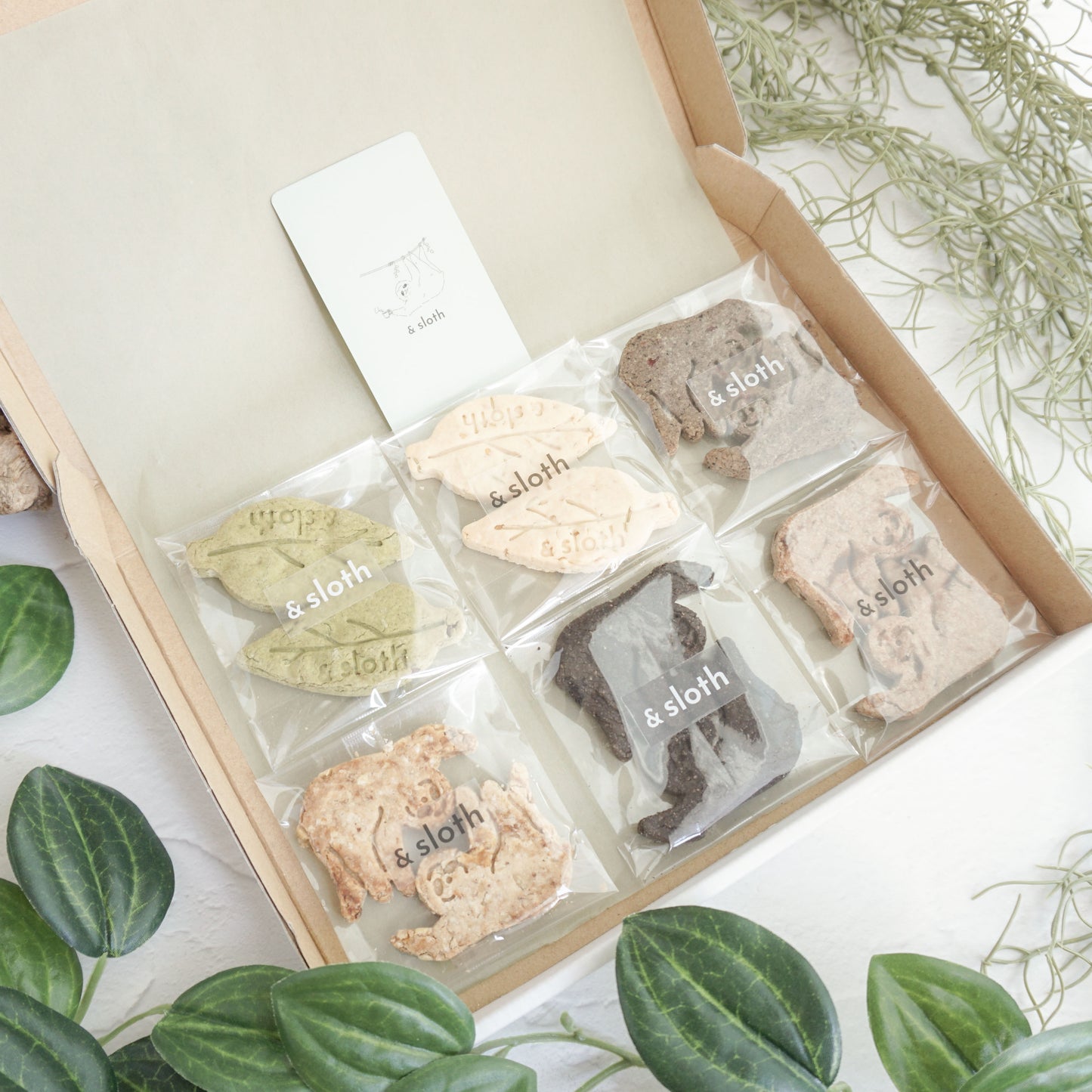 送料込み｜6種のクッキーアソート（ネコポス配送）