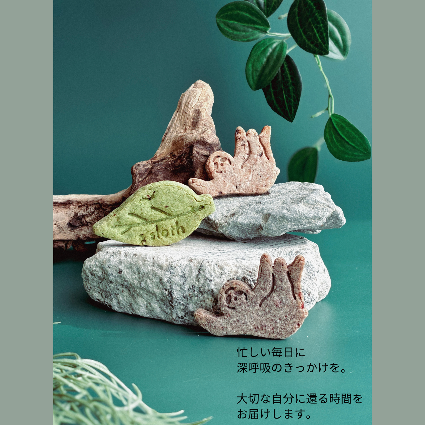 & sloth オリジナルクッキー缶