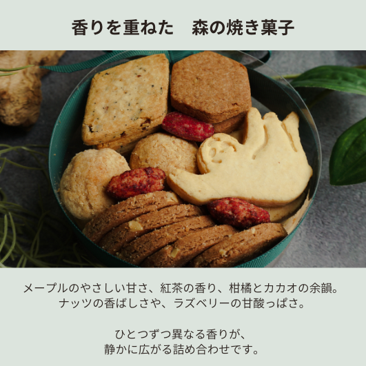 森のナマケモノボックス
