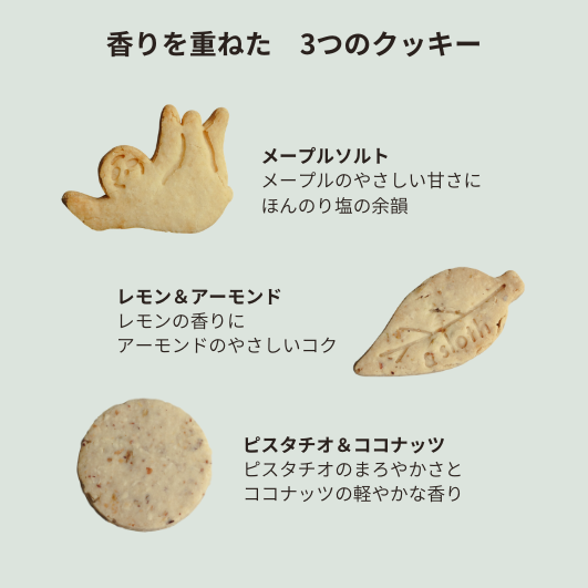 焼き菓子ギフトアソート　S