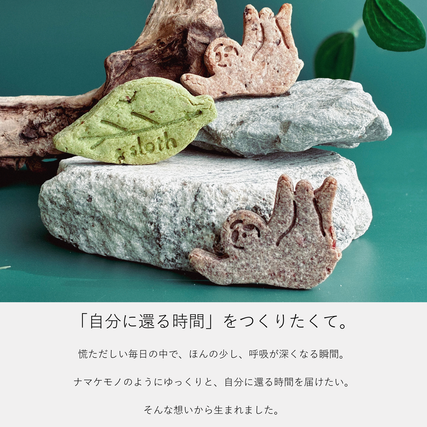 & sloth オリジナルクッキー缶