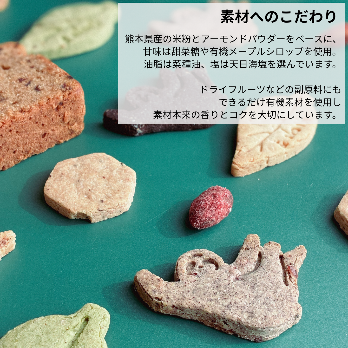 & sloth オリジナルクッキー缶