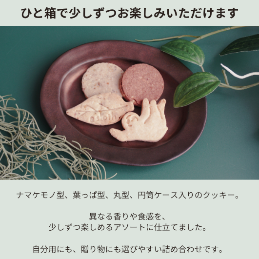 クッキーアソート　S