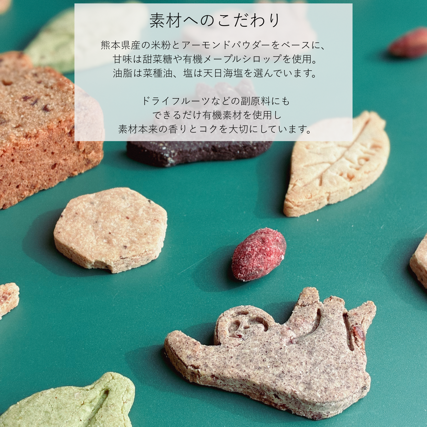 & sloth オリジナルクッキー缶