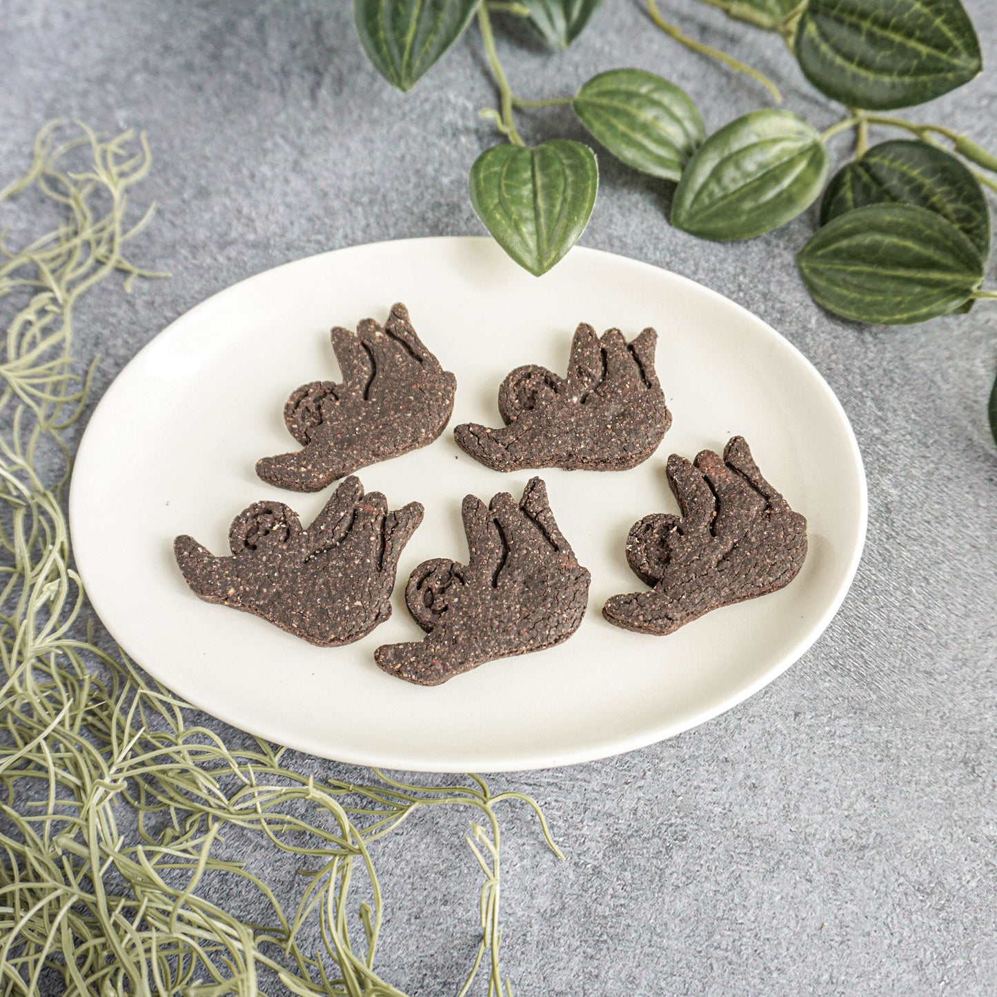 ブラックカカオ ＆チョコチップクッキー　5枚入り