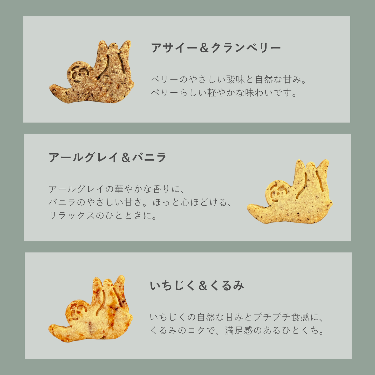 & sloth オリジナルクッキー缶