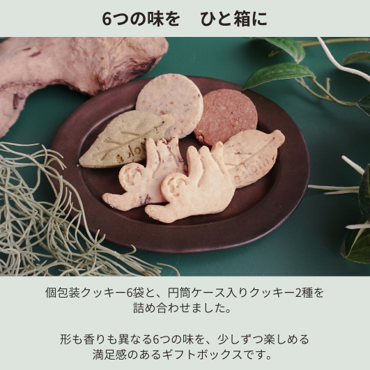 クッキーアソート　M