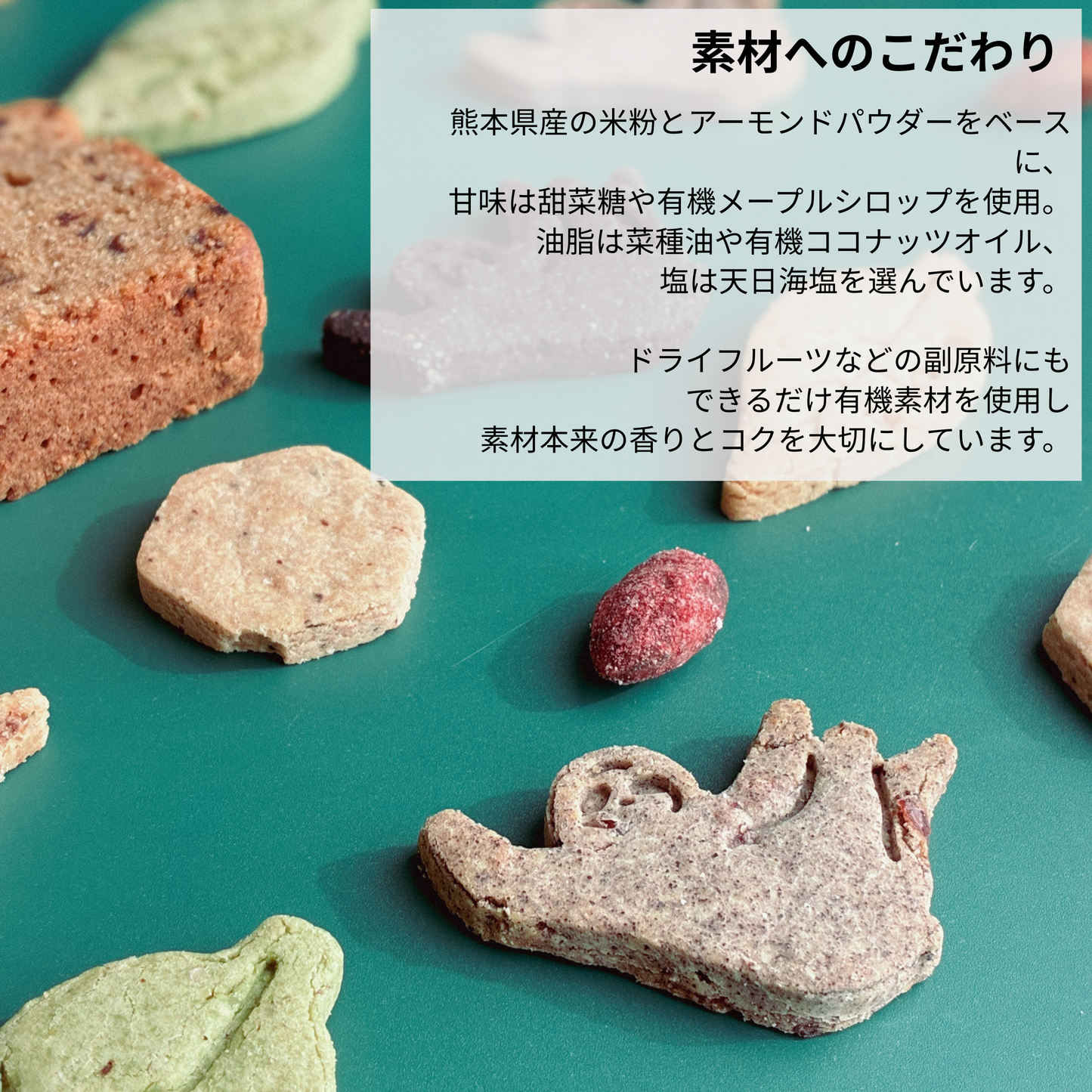 焼き菓子ギフトアソート　M