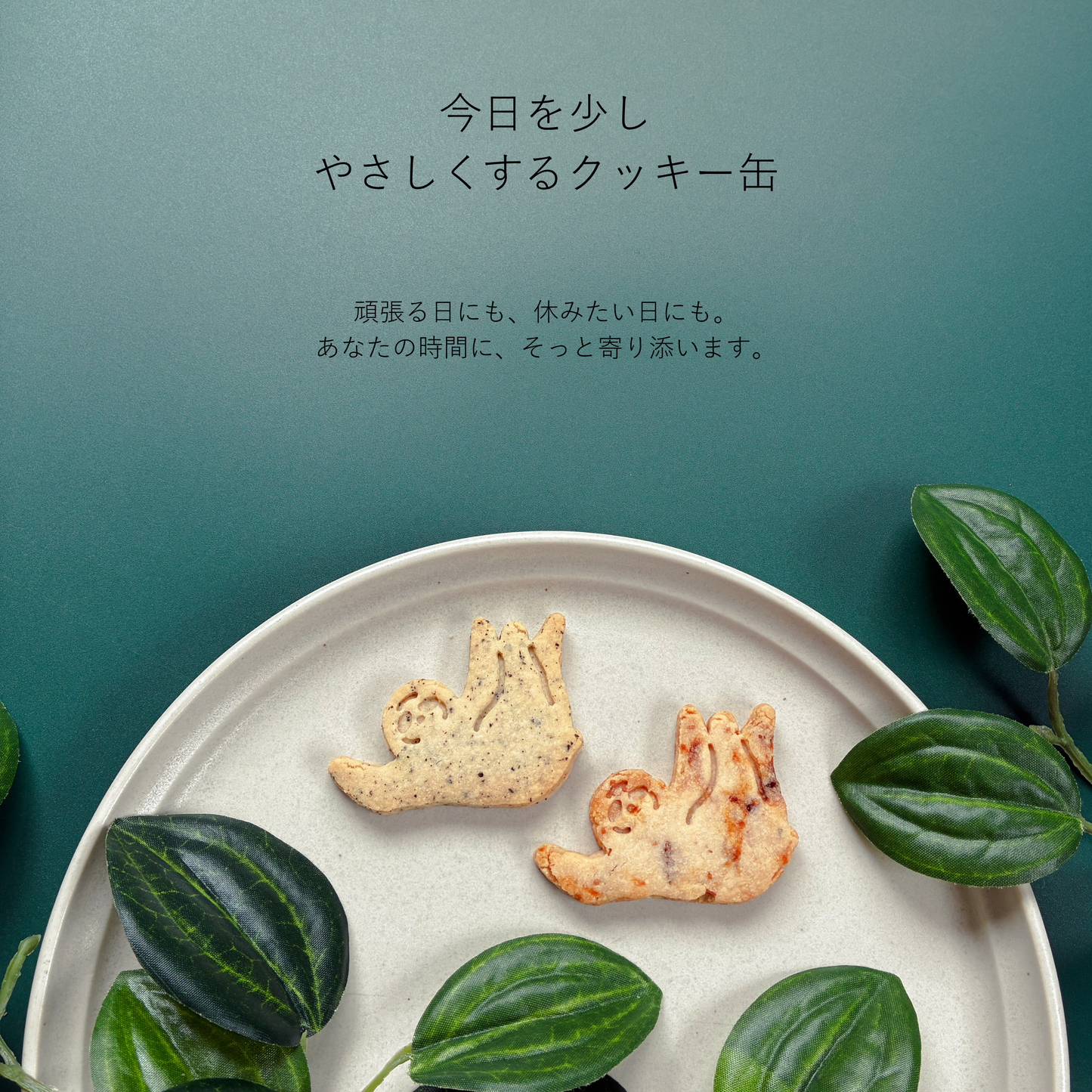 & sloth オリジナルクッキー缶