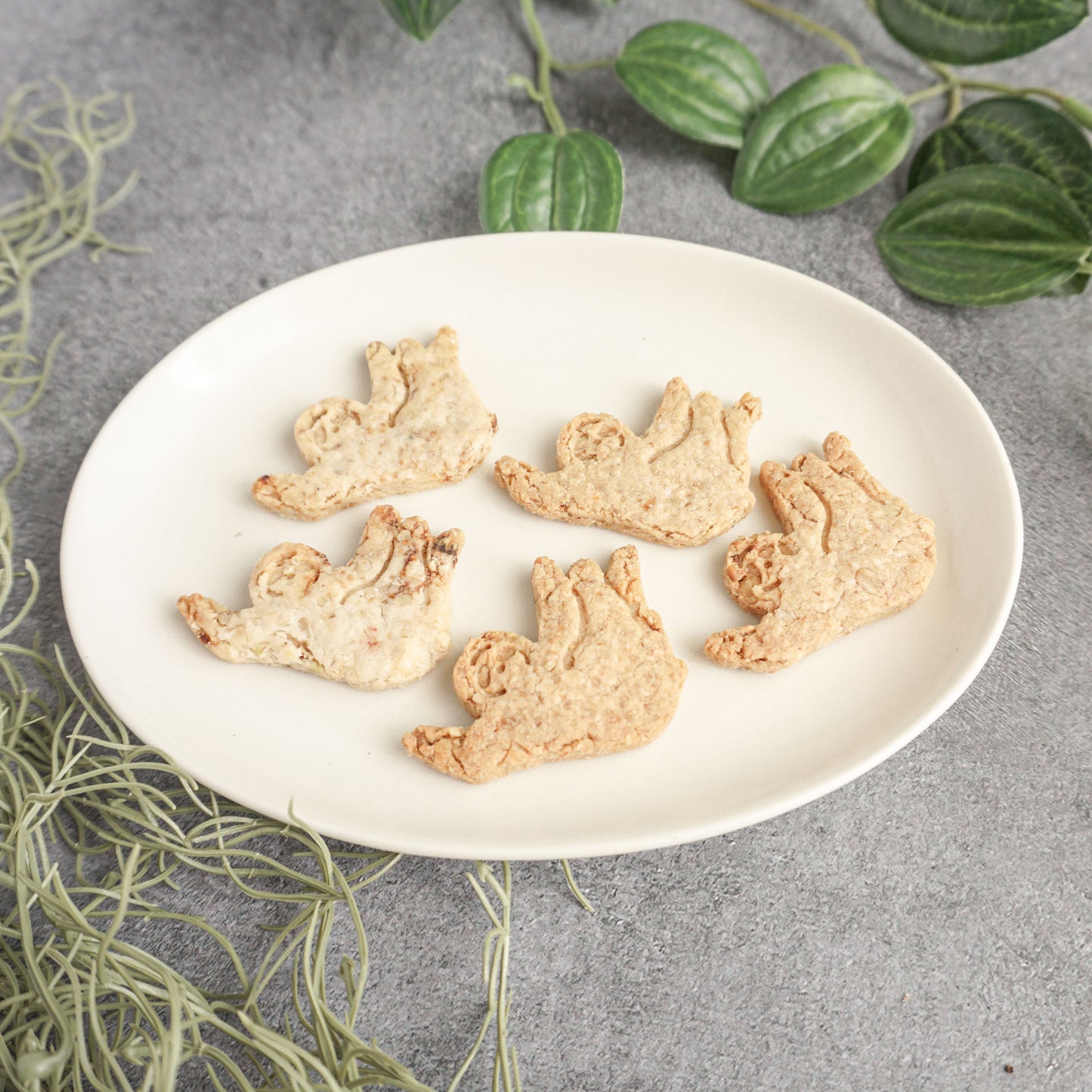 いちじく＆くるみ＆オーツ　　クッキー　5枚入り